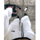 Pantalon Cities